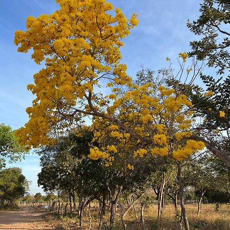 Fervedouro E Pousada Por Enquanto Sao Felix do Tocantins Luaran gambar